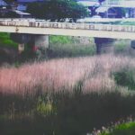 木津川 上神戸（暗崎橋）のライブカメラ|三重県伊賀市のサムネイル