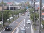 伊賀市道11031号 桜並木のライブカメラ|三重県伊賀市のサムネイル