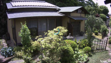 曹洞宗貞昌院・茶室のライブカメラ|神奈川県横浜市