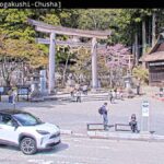 戸隠神社中社広庭のライブカメラ|長野県長野市のサムネイル