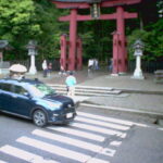 彌彦神社一の鳥居のライブカメラ|新潟県弥彦村のサムネイル