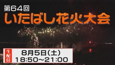 いたばし花火2023のライブカメラ|東京都板橋区