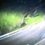 導目木川 花立砂防堰堤下流のライブカメラ|福岡県朝倉市のサムネイル