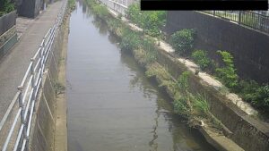 高知県高知市 江ノ口川 中須賀のライブカメラ