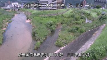 古川 安川合流点のライブカメラ|広島県広島市のサムネイル