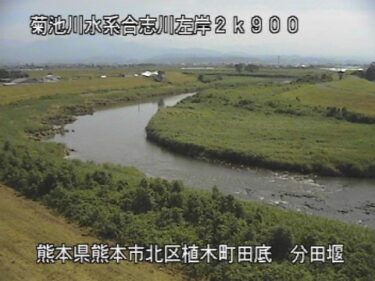 合志川 分田堰のライブカメラ|熊本県熊本市