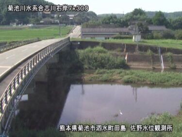 合志川 佐野水位観測所のライブカメラ|熊本県菊池市