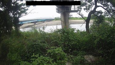 伊尾木川 鉄道橋高架下のライブカメラ|高知県安芸市