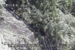 徳島県三好市 祖谷川 とびのす谷のライブカメラ
