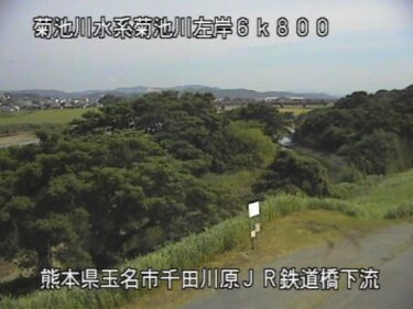 菊池川 高瀬大橋下流のライブカメラ|熊本県玉名市