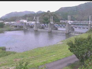 松田川 河戸堰 右岸下流のライブカメラ|高知県宿毛市