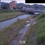 紫川 桜橋のライブカメラ|福岡県北九州市のサムネイル