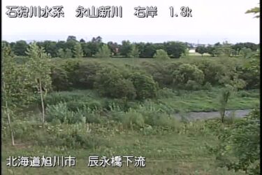 永山新川 辰永橋下流のライブカメラ|北海道旭川市のサムネイル