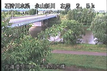 永山新川 牛朱別大橋のライブカメラ|北海道旭川市のサムネイル