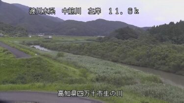 中筋川 生の川のライブカメラ|高知県四万十市のサムネイル