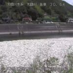 太田川 長沢橋下流のライブカメラ|広島県広島市のサムネイル