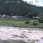 太田川 坪野空間（安水橋）のライブカメラ|広島県安芸太田町のサムネイル