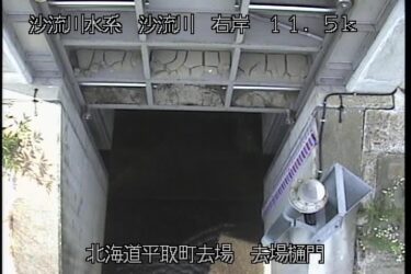 沙流川 去場樋門のライブカメラ|北海道平取町