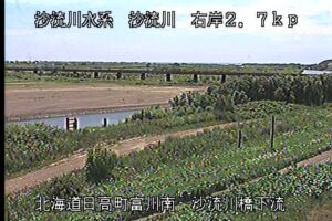 北海道日高町 沙流川 富川のライブカメラ