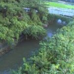尺岳川 久保田橋のライブカメラ|福岡県直方市のサムネイル