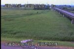 新釧路川 釧路湿原大橋のライブカメラ|北海道釧路市のサムネイル