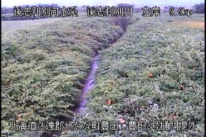 北海道せたな町 後志利別川 豊田3号樋門提外のライブカメラ