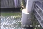 途別川 途別第2樋門のライブカメラ|北海道幕別町のサムネイル