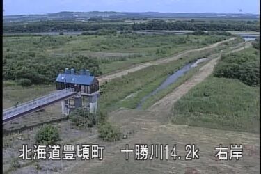 十勝川 安骨樋門のライブカメラ|北海道豊頃町
