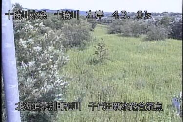 十勝川 千代田新水路合流点左岸のライブカメラ|北海道幕別町のサムネイル