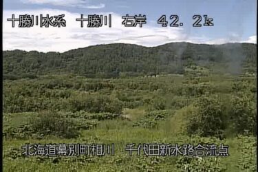 十勝川 千代田新水路合流点右岸のライブカメラ|北海道幕別町