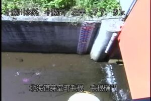 北海道芽室町 十勝川 毛根樋門のライブカメラ