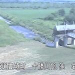 十勝川 下牛首別排水機場のライブカメラ|北海道豊頃町のサムネイル