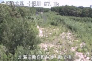 北海道新得町 十勝川 新清橋のライブカメラ