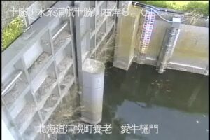 北海道浦幌町 浦幌十勝川 愛牛樋門のライブカメラ