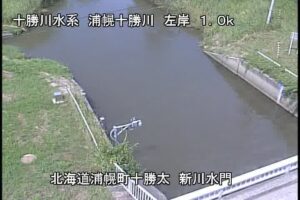 北海道浦幌町 浦幌十勝川 新川水門堤内のライブカメラ