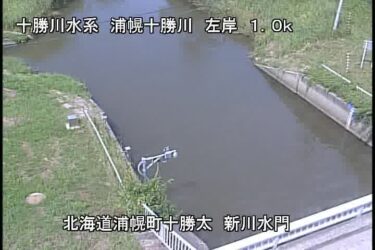浦幌十勝川 新川水門堤内のライブカメラ|北海道浦幌町のサムネイル