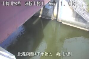 北海道浦幌町 浦幌十勝川 新川水門提外のライブカメラ