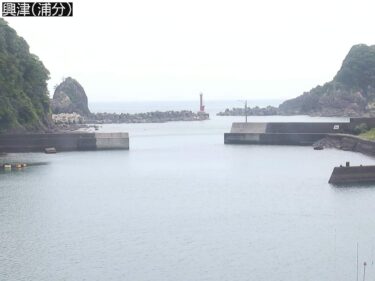 浦分漁港 興津（浦分）のライブカメラ|高知県四万十町のサムネイル