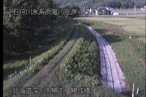 北海道深川市 雨竜川 幌成橋のライブカメラ