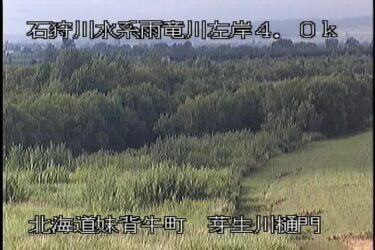 雨竜川 芽生川樋門のライブカメラ|北海道妹背牛町