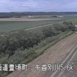 牛首別川 二の宮第2樋門のライブカメラ|北海道豊頃町のサムネイル