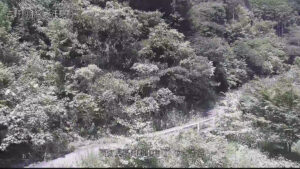 高知県大川村 吉野川 アキヤ谷のライブカメラ