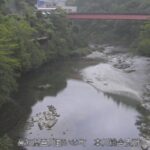 吉野川 本川総合支所のライブカメラ|高知県いの町のサムネイル