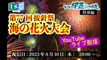 按針祭海の花火大会2023のライブカメラ|静岡県伊東市
