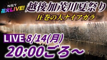 越後加茂川夏祭り大花火大会2023のライブカメラ|新潟県加茂市