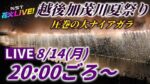 越後加茂川夏祭り花火大会のライブカメラ|新潟県加茂市のサムネイル