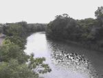 赤岩川 赤岩橋のライブカメラ|宮崎県日向市のサムネイル