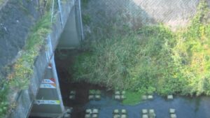 大分県大分市 尼ヶ瀬川 尼ヶ瀬樋門のライブカメラ
