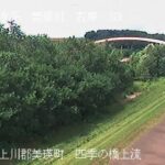 美瑛川 四季の橋のライブカメラ|北海道美瑛町のサムネイル