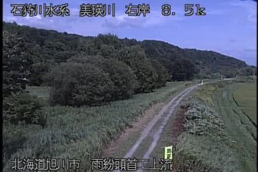 美瑛川 雨紛頭首工上流のライブカメラ|北海道旭川市